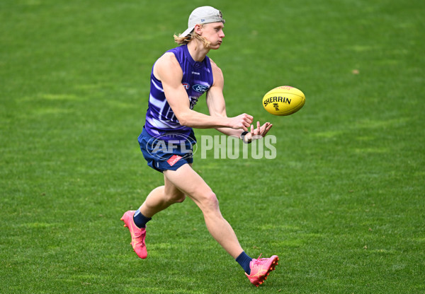 AFL 2024 Training - Geelong 160924 - A-54086856