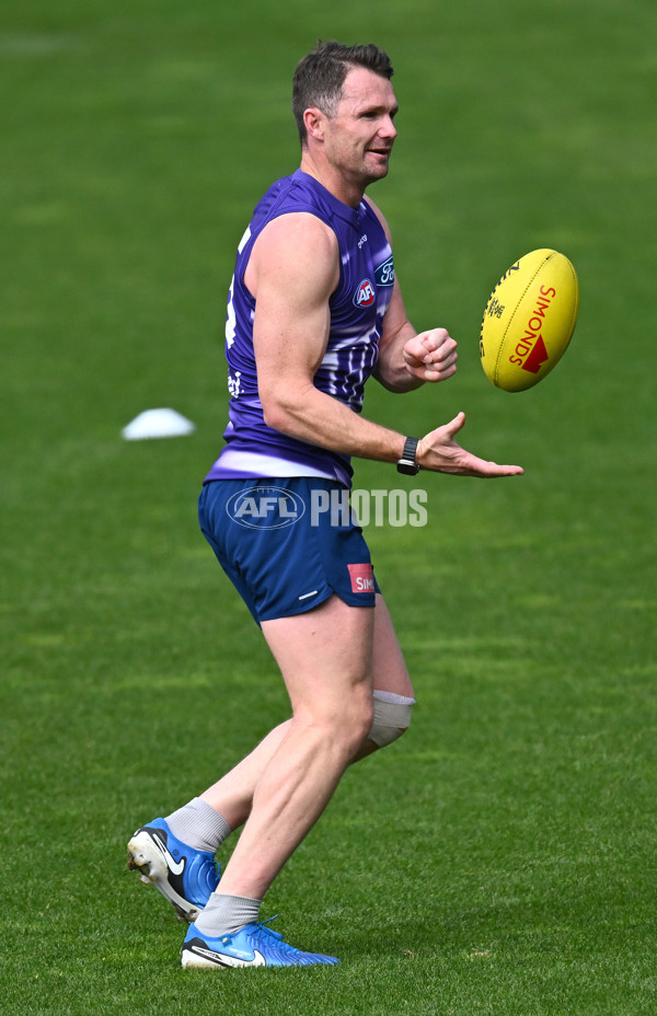 AFL 2024 Training - Geelong 160924 - A-54086867