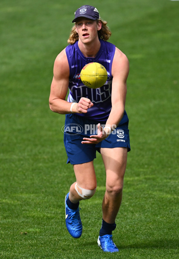 AFL 2024 Training - Geelong 160924 - A-54086868