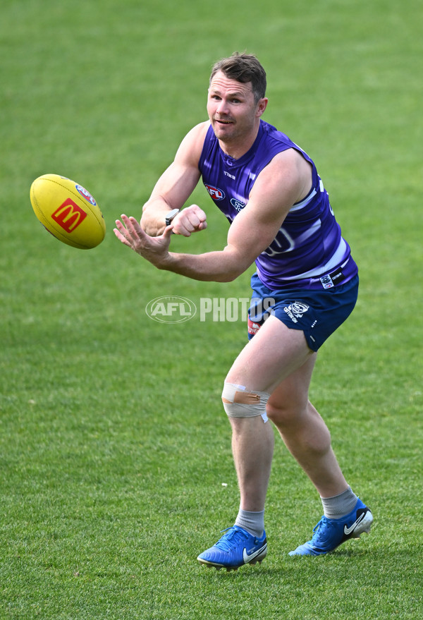 AFL 2024 Training - Geelong 160924 - A-54088734