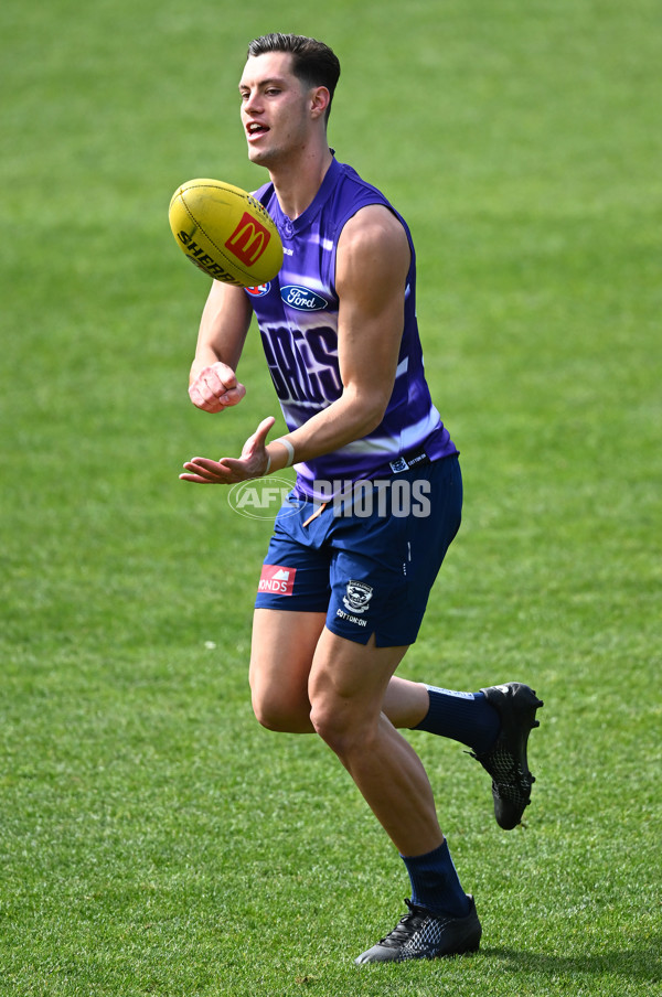 AFL 2024 Training - Geelong 160924 - A-54088736