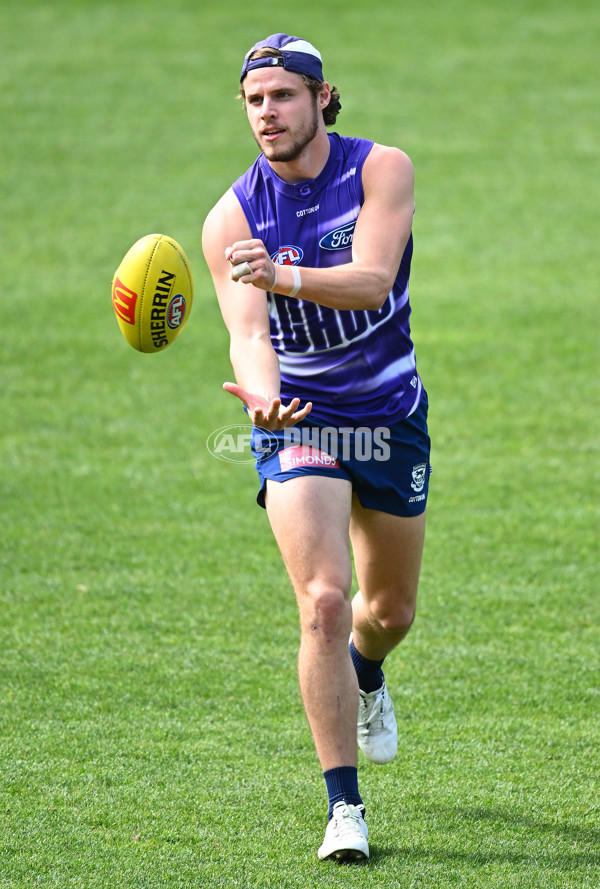 AFL 2024 Training - Geelong 160924 - A-54088738