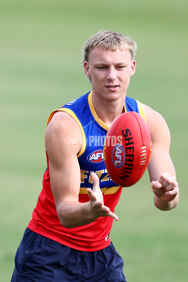 AFL 2024 Training - Brisbane 170924 - A-54094535