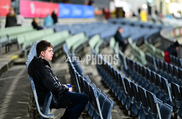 AFLW 2024 Round 04 - Collingwood v West Coast - A-54095573