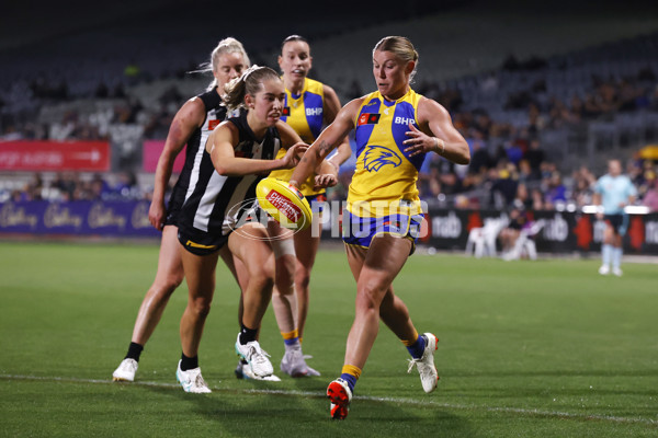 AFLW 2024 Round 04 - Collingwood v West Coast - A-54097346