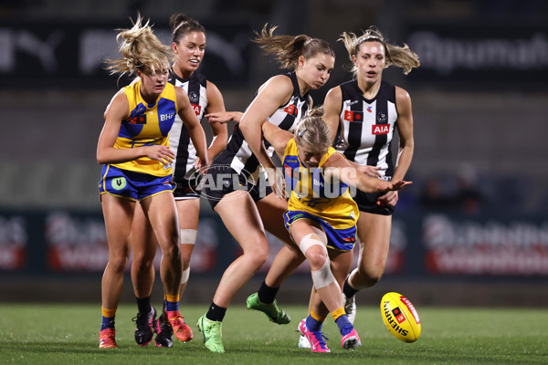 AFLW 2024 Round 04 - Collingwood v West Coast - A-54098738