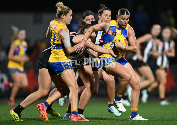 AFLW 2024 Round 04 - Collingwood v West Coast - A-54100387