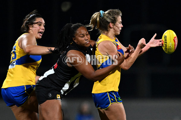 AFLW 2024 Round 04 - Collingwood v West Coast - A-54100399