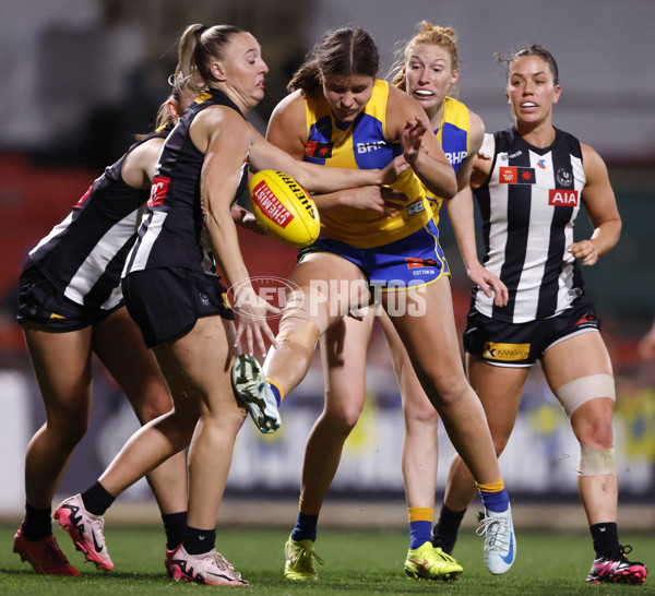 AFLW 2024 Round 04 - Collingwood v West Coast - A-54100413