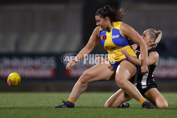 AFLW 2024 Round 04 - Collingwood v West Coast - A-54101772