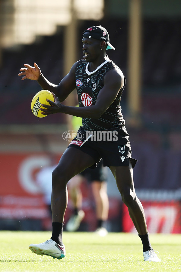 AFL 2024 Training - Port Adelaide 190924 - A-54134792
