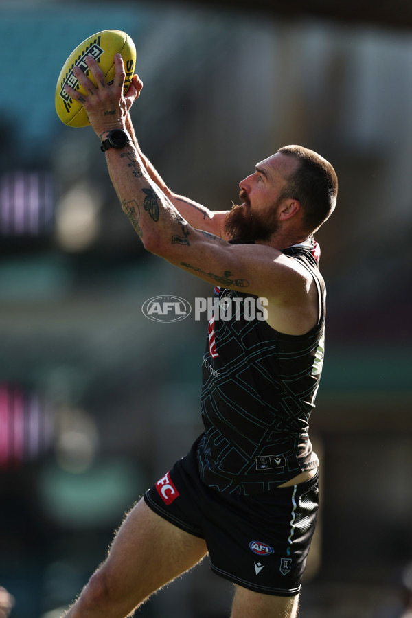 AFL 2024 Training - Port Adelaide 190924 - A-54134796