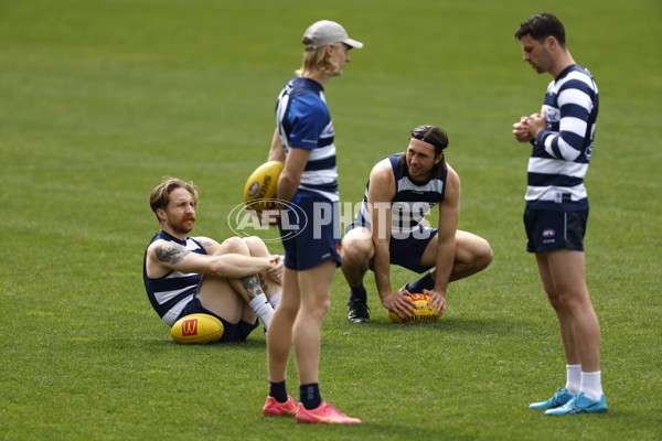 AFL 2024 Training - Geelong 200924 - A-54140995