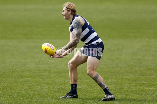 AFL 2024 Training - Geelong 200924 - A-54141006