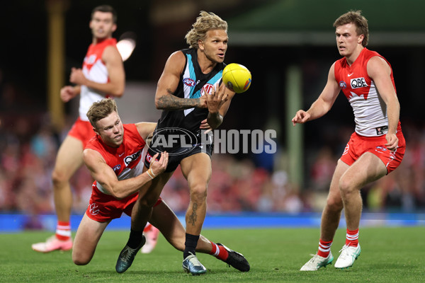 AFL 2024 First Preliminary Final - Sydney v Port Adelaide - A-54157340