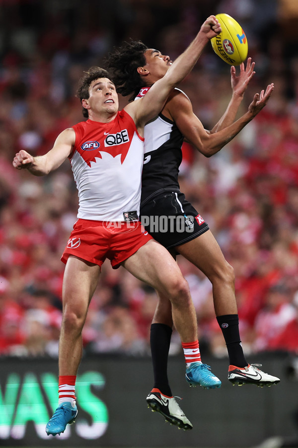 AFL 2024 First Preliminary Final - Sydney v Port Adelaide - A-54161449