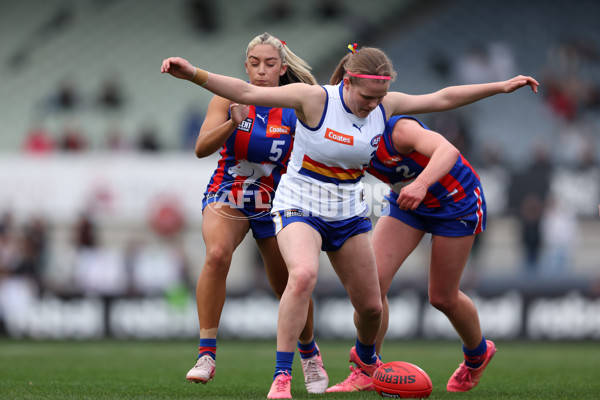 Coates League Girls 2024 Grand Final - Oakleigh Chargers v Eastern Ranges - A-54179996