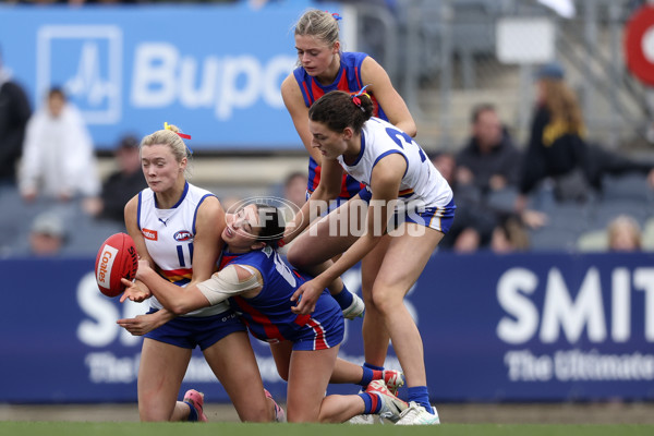 Coates League Girls 2024 Grand Final - Oakleigh Chargers v Eastern Ranges - A-54180001