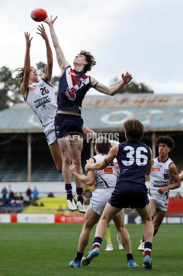 Coates League Boys 2024 Grand Final - Sandringham Dragons v GWV Rebels - A-54190400