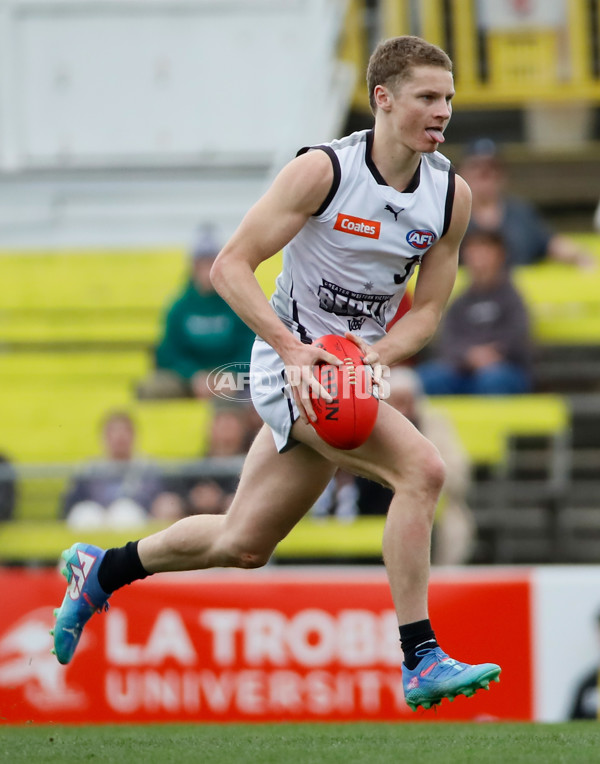 Coates League Boys 2024 Grand Final - Sandringham Dragons v GWV Rebels - A-54190401