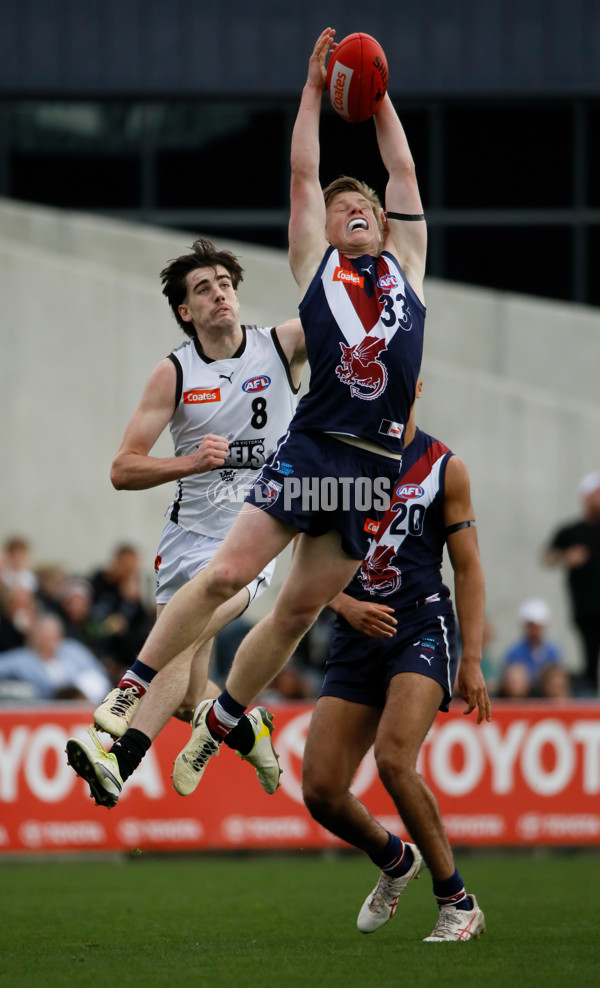 Coates League Boys 2024 Grand Final - Sandringham Dragons v GWV Rebels - A-54194790