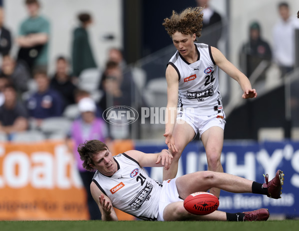 Coates League Boys 2024 Grand Final - Sandringham Dragons v GWV Rebels - A-54194820