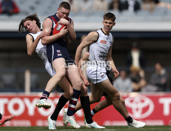 Coates League Boys 2024 Grand Final - Sandringham Dragons v GWV Rebels - A-54194859