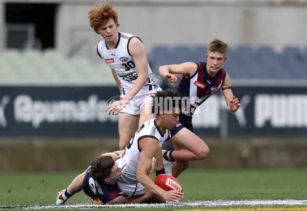 Coates League Boys 2024 Grand Final - Sandringham Dragons v GWV Rebels - A-54195700