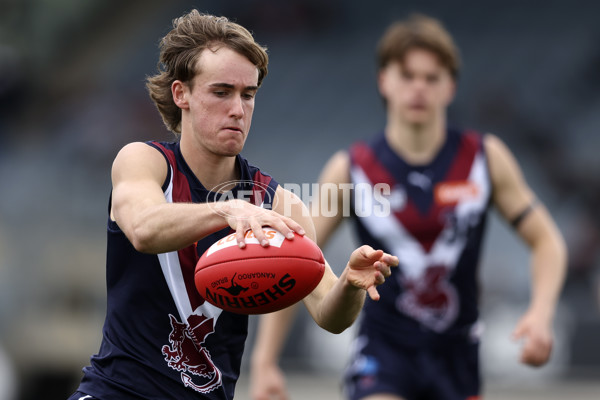 Coates League Boys 2024 Grand Final - Sandringham Dragons v GWV Rebels - A-54195705