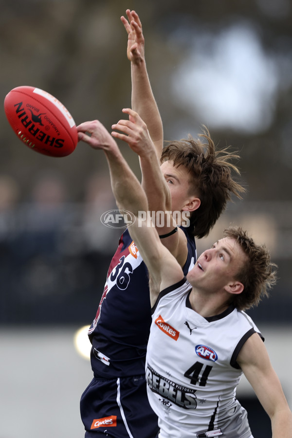 Coates League Boys 2024 Grand Final - Sandringham Dragons v GWV Rebels - A-54195708