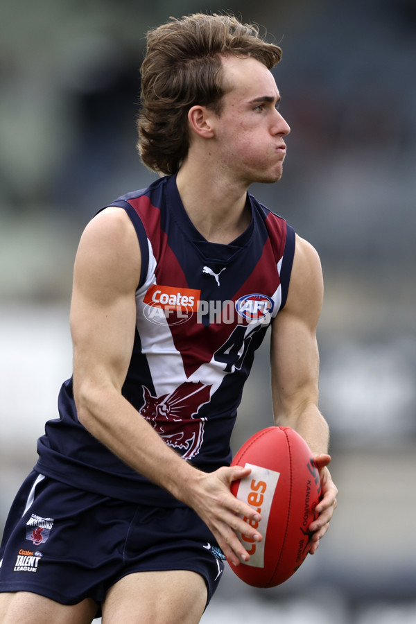 Coates League Boys 2024 Grand Final - Sandringham Dragons v GWV Rebels - A-54195709