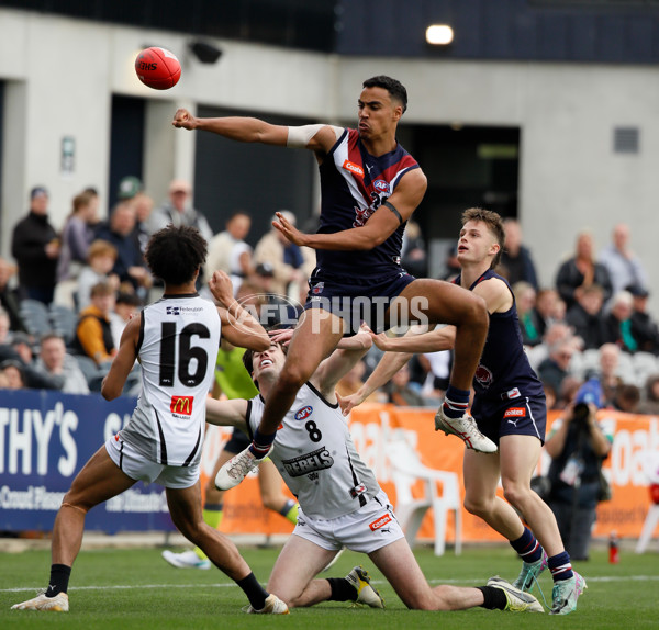 Coates League Boys 2024 Grand Final - Sandringham Dragons v GWV Rebels - A-54198400