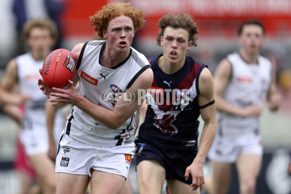 Coates League Boys 2024 Grand Final - Sandringham Dragons v GWV Rebels - A-54200701