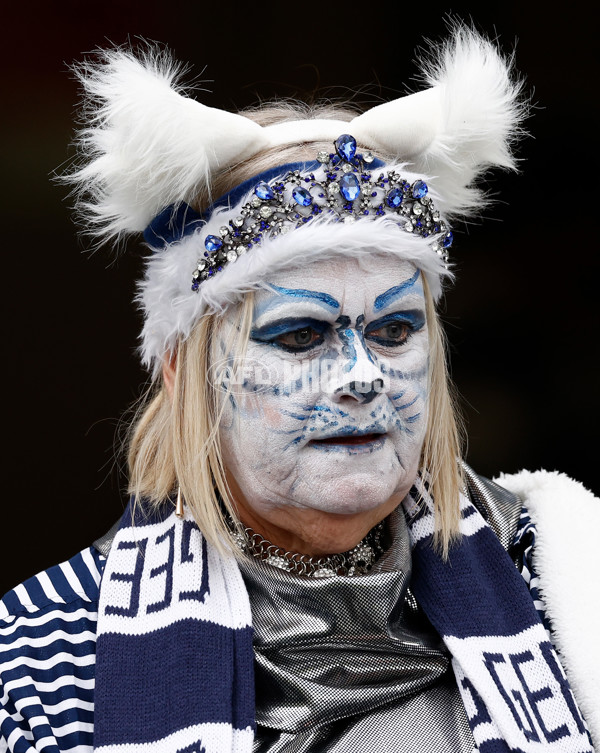 AFL 2024 Second Preliminary Final - Geelong v Brisbane - A-54202520