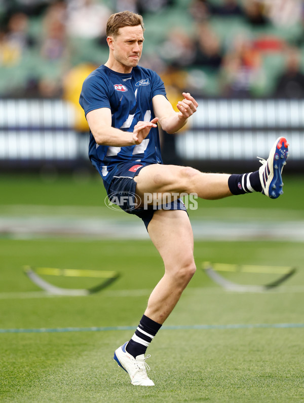 AFL 2024 Second Preliminary Final - Geelong v Brisbane - A-54202522