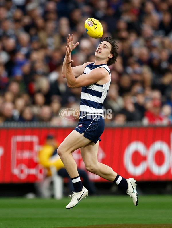 AFL 2024 Second Preliminary Final - Geelong v Brisbane - A-54208227