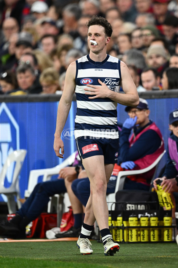 AFL 2024 Second Preliminary Final - Geelong v Brisbane - A-54216158