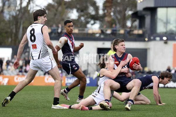 Coates League Boys 2024 Grand Final - Sandringham Dragons v GWV Rebels - A-54218961