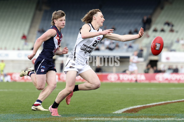 Coates League Boys 2024 Grand Final - Sandringham Dragons v GWV Rebels - A-54218963