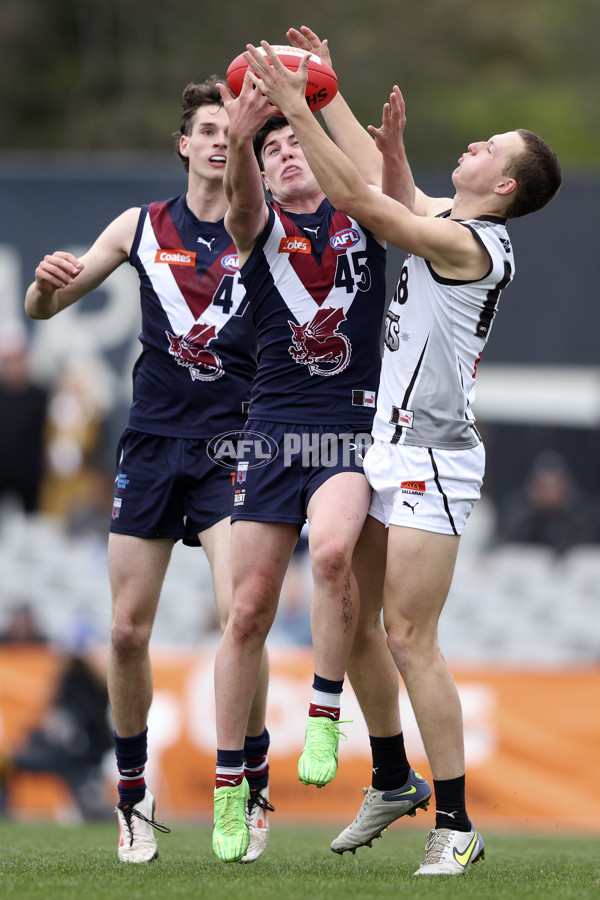 Coates League Boys 2024 Grand Final - Sandringham Dragons v GWV Rebels - A-54218972