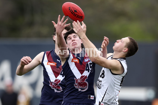 Coates League Boys 2024 Grand Final - Sandringham Dragons v GWV Rebels - A-54218973