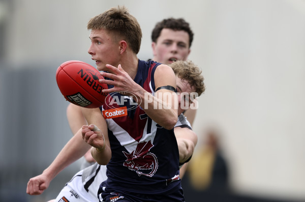 Coates League Boys 2024 Grand Final - Sandringham Dragons v GWV Rebels - A-54219437