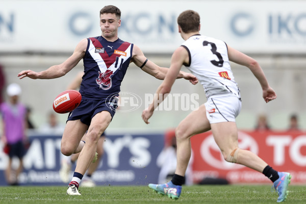 Coates League Boys 2024 Grand Final - Sandringham Dragons v GWV Rebels - A-54219453