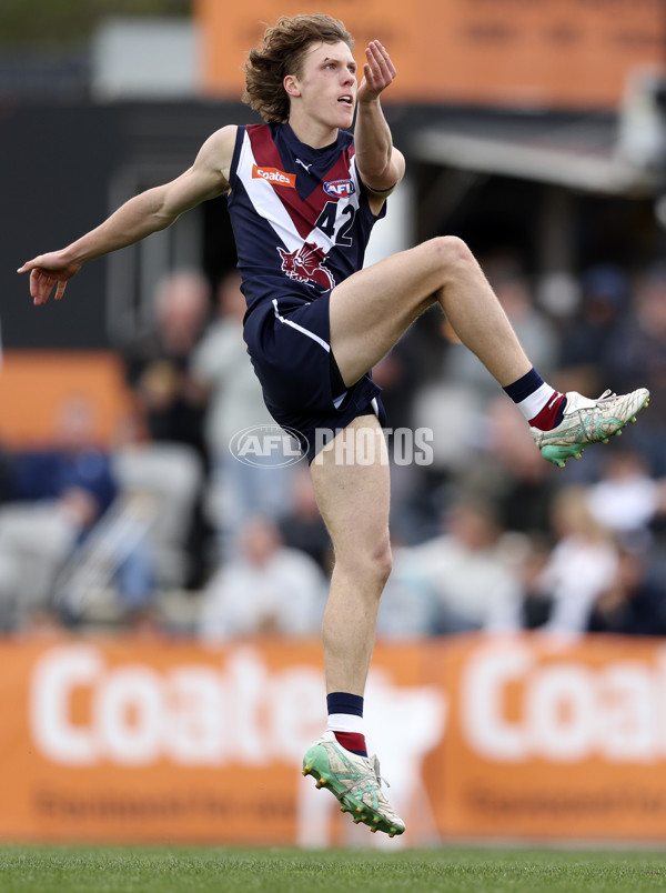 Coates League Boys 2024 Grand Final - Sandringham Dragons v GWV Rebels - A-54219454