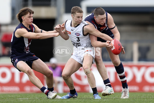 Coates League Boys 2024 Grand Final - Sandringham Dragons v GWV Rebels - A-54219455