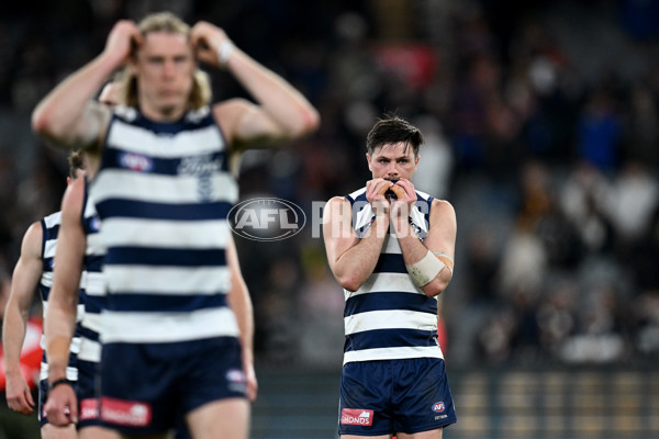 AFL 2024 Second Preliminary Final - Geelong v Brisbane - A-54222213