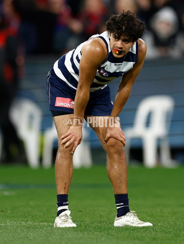 AFL 2024 Second Preliminary Final - Geelong v Brisbane - A-54224340