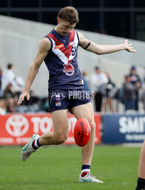 Coates League Boys 2024 Grand Final - Sandringham Dragons v GWV Rebels - A-54224354