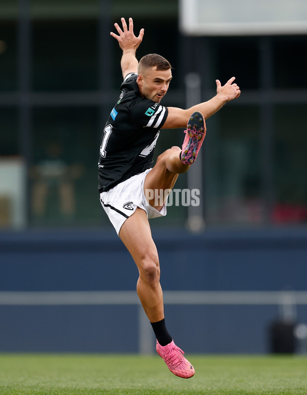 VFL 2024 Grand Final - Werribee v Southport Sharks - A-54233496