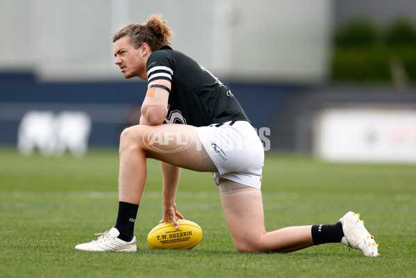 VFL 2024 Grand Final - Werribee v Southport Sharks - A-54234274